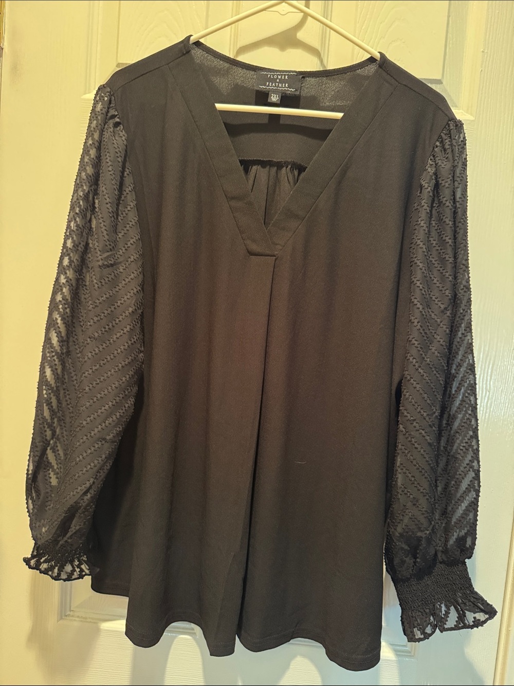 Black V-Neck Peasant Blouse with Sheer Sleeves